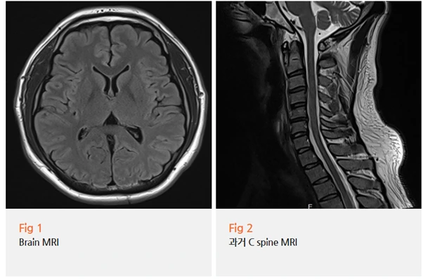 %EA%B7%B8%EB%A6%BC3.png?type=w966