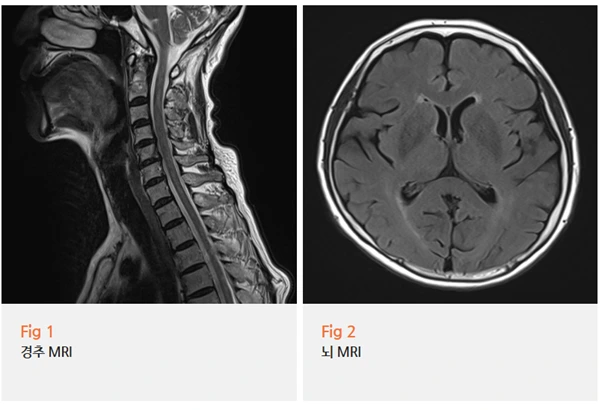 %EA%B7%B8%EB%A6%BC10.png?type=w966