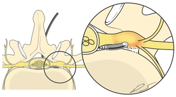 %EA%B7%B8%EB%A6%BC13.jpg?type=w966