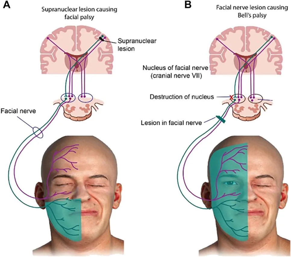 %EA%B7%B8%EB%A6%BC5.jpg?type=w966