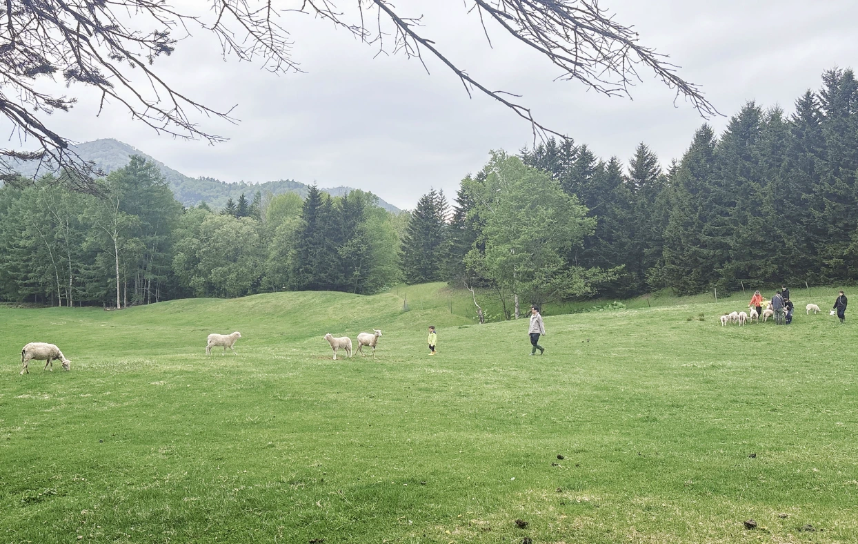 img.png?credential=yqXZFxpELC7KVnFOS48ylbz2pIh7yKj8&expires=1772290799&allow_ip=&allow_referer=&signature=w0mxe8KVC1aePvreTgevzCmZZa0%3D