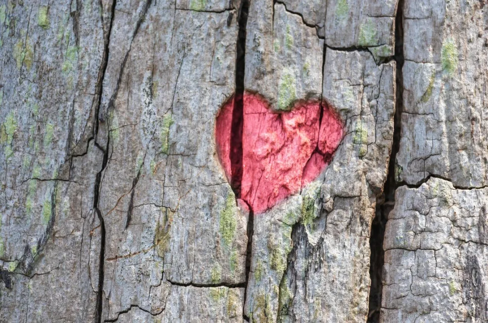 %EB%AA%A8%EB%8B%A5%EB%B6%88_%EC%98%A8%EA%B8%B0_%EC%83%A4%EC%B9%B4%EC%9D%B8%EC%82%AC_%EC%9D%B4%EC%A4%91%ED%95%98%EB%8F%85%EC%84%9C%EB%AA%A8%EC%9E%84_%EB%B6%80%EC%82%B0%ED%81%B0%EC%86%94%EB%82%98%EB%B9%84_%EC%88%98%EB%8F%84%EC%9E%90%EC%B2%98%EB%9F%BC%EC%83%9D%EA%B0%81%ED%95%98%EA%B8%B0_%EB%82%B4%EB%B2%84%EB%A0%A4%EB%91%90%EB%8A%94%EC%A7%80%ED%98%9C_%EC%9A%94%EC%95%BD%EB%8F%85%EC%84%9C%EB%B2%95_(3).jpg?type=w966