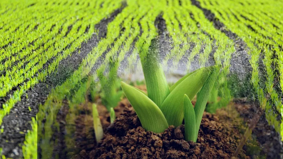 %EB%B3%80%ED%99%94%EC%84%B1%EC%9E%A5_%EB%AC%B4%EA%B8%B0%EB%A0%A5%ED%83%88%EC%B6%9C_(2).jpg?type=w966