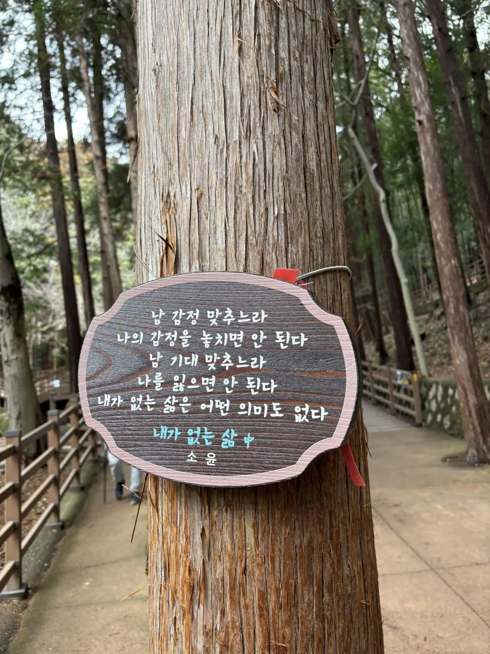 IMG_6437.jpeg?type=w966