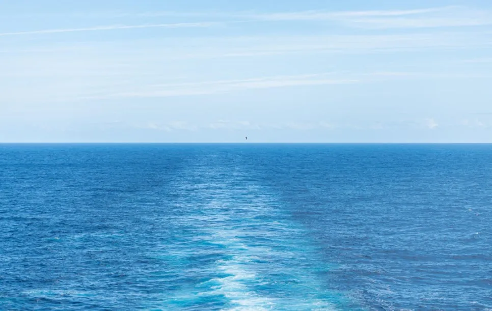 %EC%9A%94%EC%95%BD%EB%8F%85%EC%84%9C%EB%B2%95_%ED%95%98%EB%A3%A815%EB%B6%84_%EB%8F%85%EC%84%9C%EC%9D%98%EB%B9%84%EB%B0%80_%EB%8F%85%EC%84%9C%EB%B9%84%EB%B2%95_%EB%8F%85%EC%84%9C%EB%B0%A9%EB%B2%95_%EC%86%8D%EB%8F%85%EB%B2%95_%EC%89%AC%EC%9A%B4%EB%8F%85%EC%84%9C_(3).jpg?type=w966