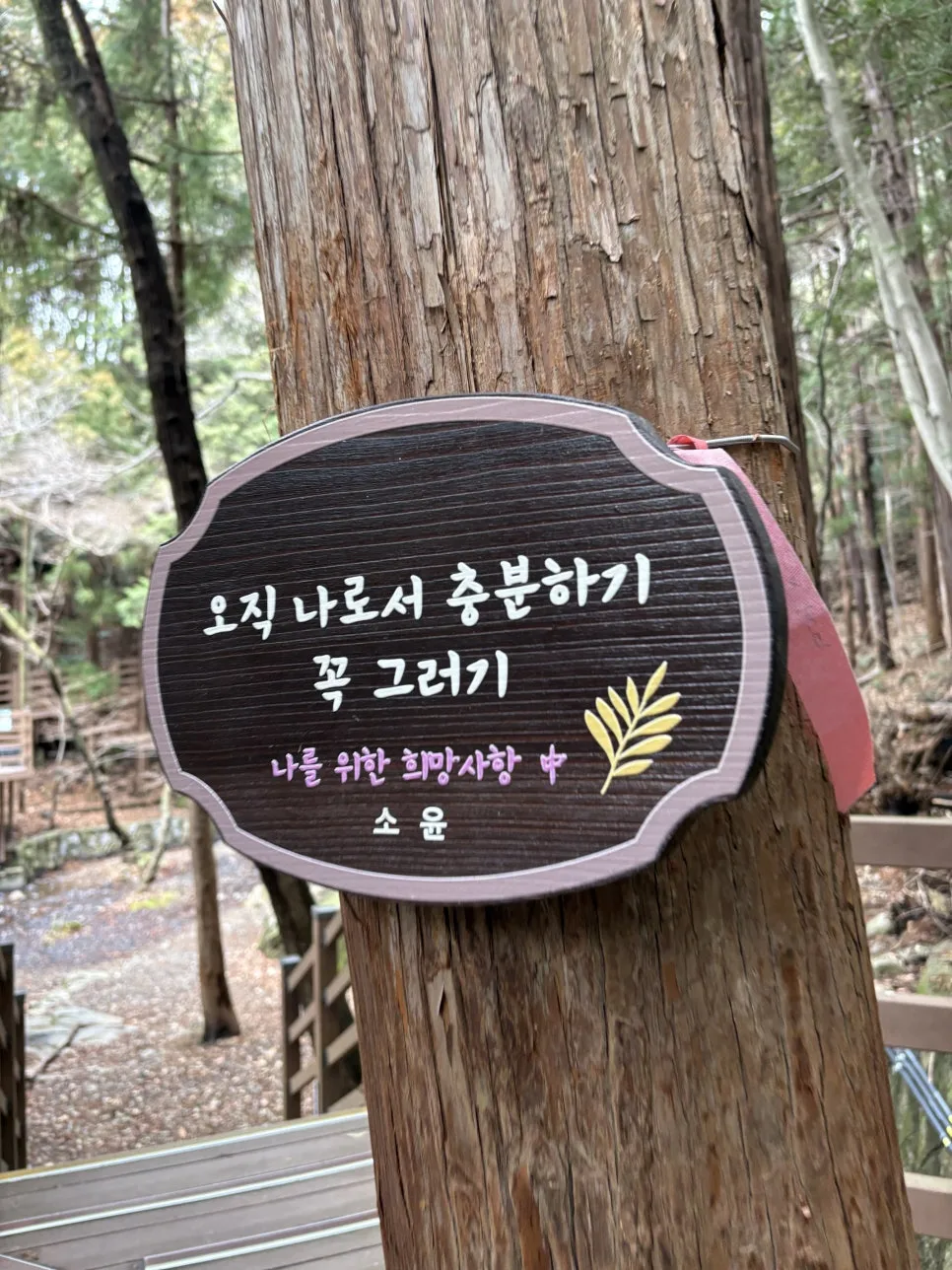 %EC%96%B4%EB%A6%B0%EB%8C%80%EA%B3%B5%EC%9B%907.JPG?type=w966