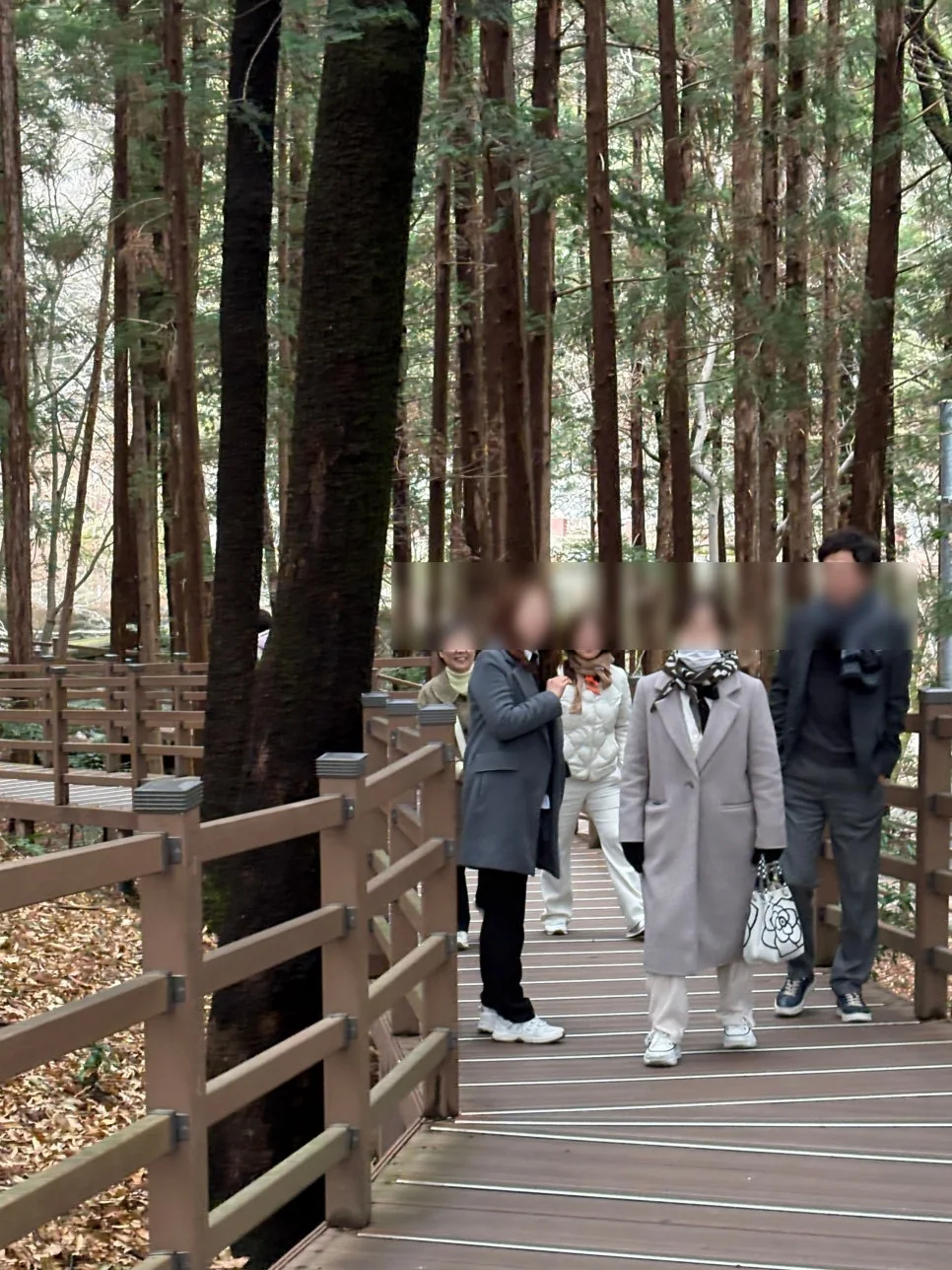 SE-97879e8c-2f6b-4e2b-8a51-150e41b75132.jpg?type=w966