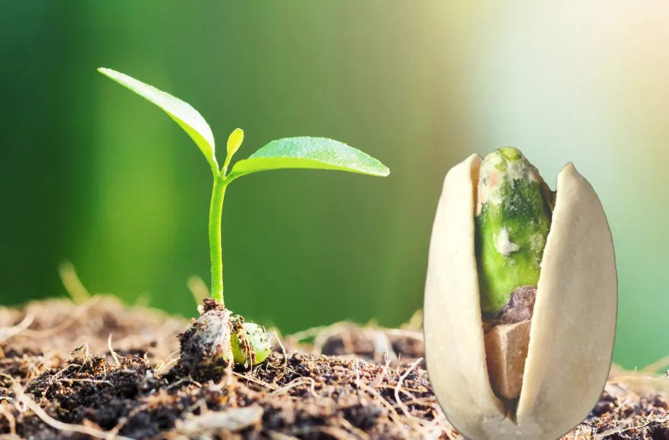 %EB%B3%80%ED%99%94%EC%84%B1%EC%9E%A5_%EB%AC%B4%EA%B8%B0%EB%A0%A5%ED%83%88%EC%B6%9C_(5).jpg?type=w966