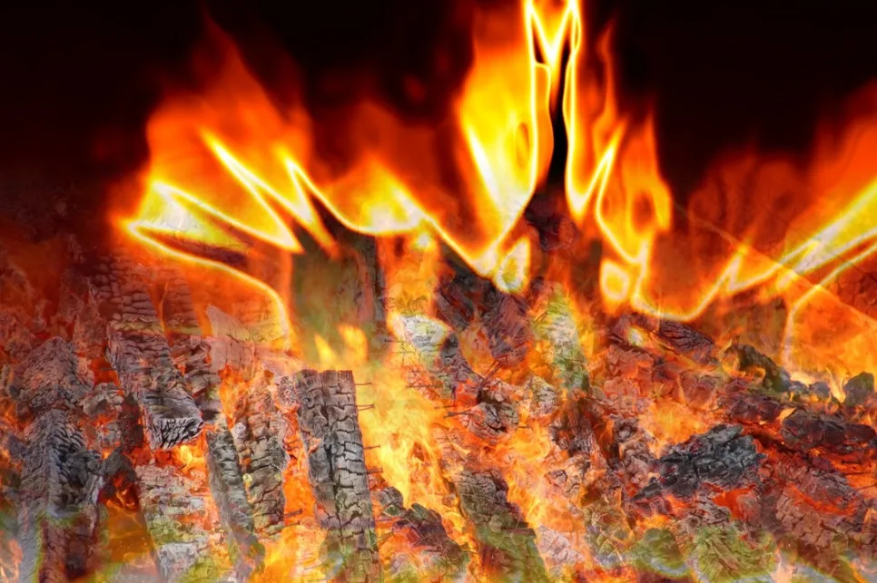 %EB%AA%A8%EB%8B%A5%EB%B6%88_%EC%98%A8%EA%B8%B0_%EC%83%A4%EC%B9%B4%EC%9D%B8%EC%82%AC_%EC%9D%B4%EC%A4%91%ED%95%98%EB%8F%85%EC%84%9C%EB%AA%A8%EC%9E%84_%EB%B6%80%EC%82%B0%ED%81%B0%EC%86%94%EB%82%98%EB%B9%84_%EC%88%98%EB%8F%84%EC%9E%90%EC%B2%98%EB%9F%BC%EC%83%9D%EA%B0%81%ED%95%98%EA%B8%B0_%EB%82%B4%EB%B2%84%EB%A0%A4%EB%91%90%EB%8A%94%EC%A7%80%ED%98%9C_%EC%9A%94%EC%95%BD%EB%8F%85%EC%84%9C%EB%B2%95.jpg?type=w966