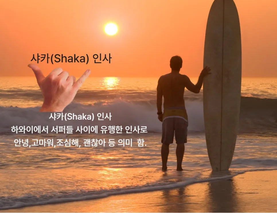 %EC%83%A4%EC%B9%B4%EC%9D%B8%EC%82%AC_%EB%8F%85%EC%84%9C_%EB%8F%85%EC%84%9C%EB%AA%A8%EC%9E%84_%EB%B6%80%EC%82%B0%ED%81%B0%EC%86%94%EB%82%98%EB%B9%84_%EC%88%98%EB%8F%84%EC%9E%90%EC%B2%98%EB%9F%BC%EC%83%9D%EA%B0%81%ED%95%98%EA%B8%B0_%EB%82%B4%EB%B2%84%EB%A0%A4%EB%91%90%EB%8A%94%EC%A7%80%ED%98%9C_%EC%9A%94%EC%95%BD%EB%8F%85%EC%84%9C%EB%B2%95.jpg?type=w966