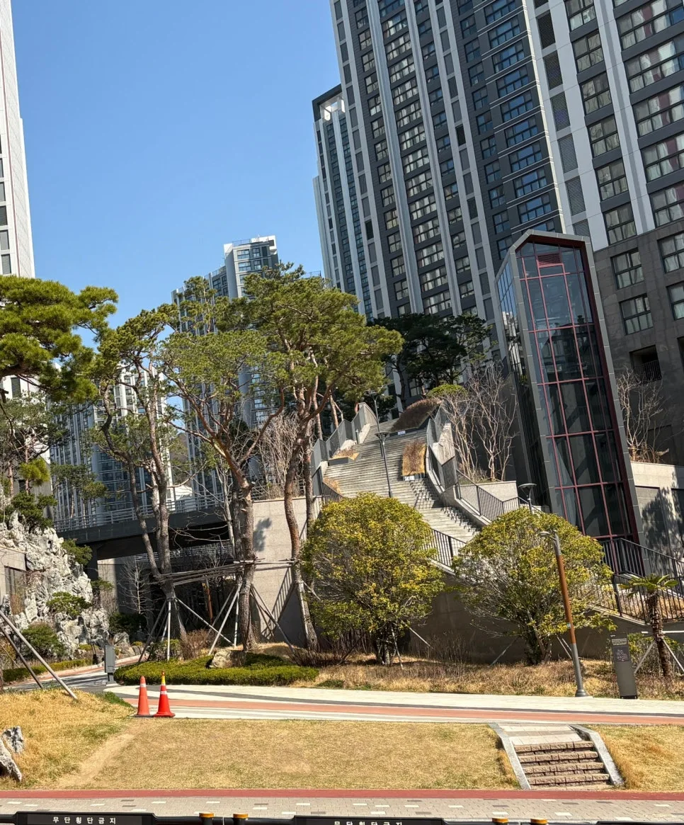 SE-5a1e63db-976c-4214-8284-b9615bd488be.jpg?type=w966