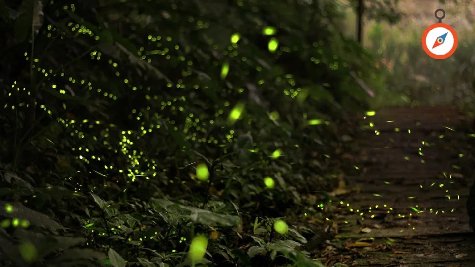 %EC%9D%B8%EC%83%90_%EC%9D%B8%EC%83%9D%EC%82%B6_%EB%85%B8%EB%A0%A5_%EC%A0%95%EC%84%B1%EB%85%B8%EB%A0%A5_%EC%84%AC%EA%B9%80%EB%A6%AC%EB%8D%94%EC%8B%AD_%EC%A1%B0%EC%A7%81%EA%B4%80%EB%A6%AC_(4).jpg?type=w966