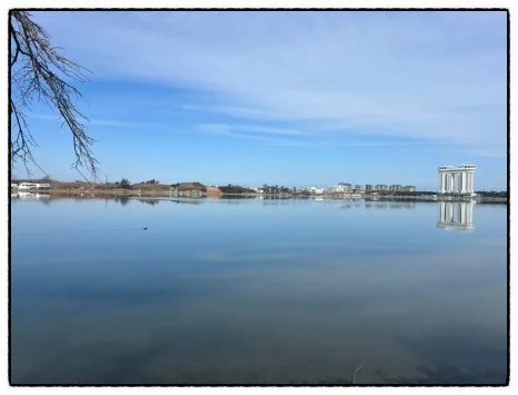 SE-B74380B0-2DED-4E83-A1B9-E0290A1A418D.jpg?type=w466