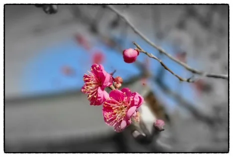 SE-8193F506-FFD2-4210-951C-82C03997417B.jpg?type=w466