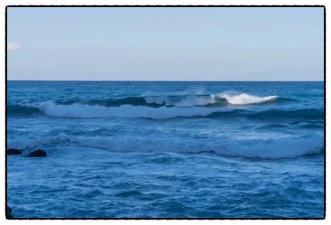 SE-A703842E-D9F3-4DDF-AEE1-0E4CC89C4F2E.jpg?type=w466