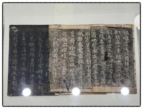 SE-C0C6A838-C4E9-4688-8F52-CB956E8C9E27.jpg?type=w466