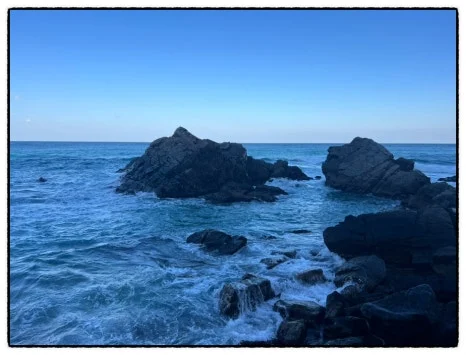 SE-DFF470B9-386B-4A78-8628-99A3D50FF3C2.jpg?type=w466