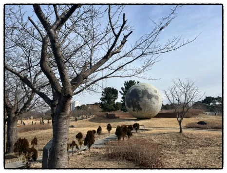 SE-97F22677-1AE7-4B58-9D77-057FEEE68CD1.jpg?type=w466