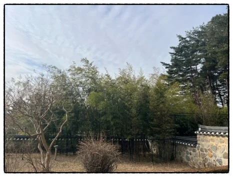 SE-AD19F862-EE7C-48BE-8CFD-5A741898F0A9.jpg?type=w466