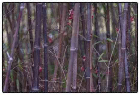 SE-601C33AE-2217-43E3-9A64-8FF5CFB06F28.jpg?type=w466