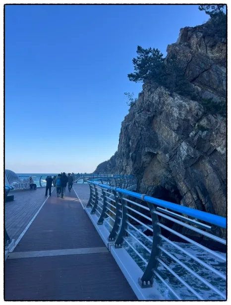 SE-05e001d5-e998-4502-8fbe-4a3b435e4dad.jpg?type=w466