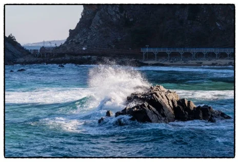 SE-6D610042-EA04-4CAA-8B78-5E99B8085DE0.jpg?type=w466