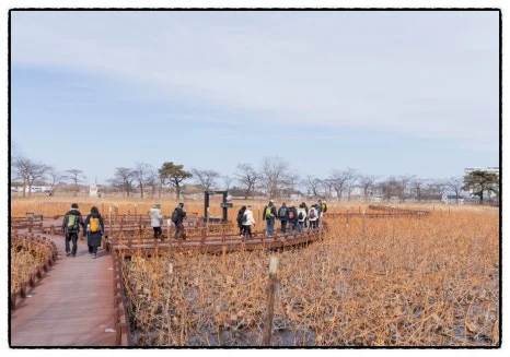 SE-691732C6-609A-47FE-B214-839DAA0B4EBD.jpg?type=w466