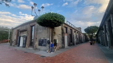 20260115_071634.jpg?type=w386