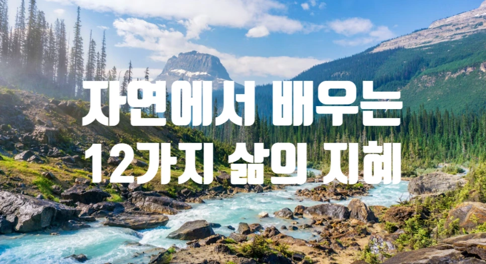 SE-4247fb6a-0255-4387-a77e-856614a5e617.png?type=w966