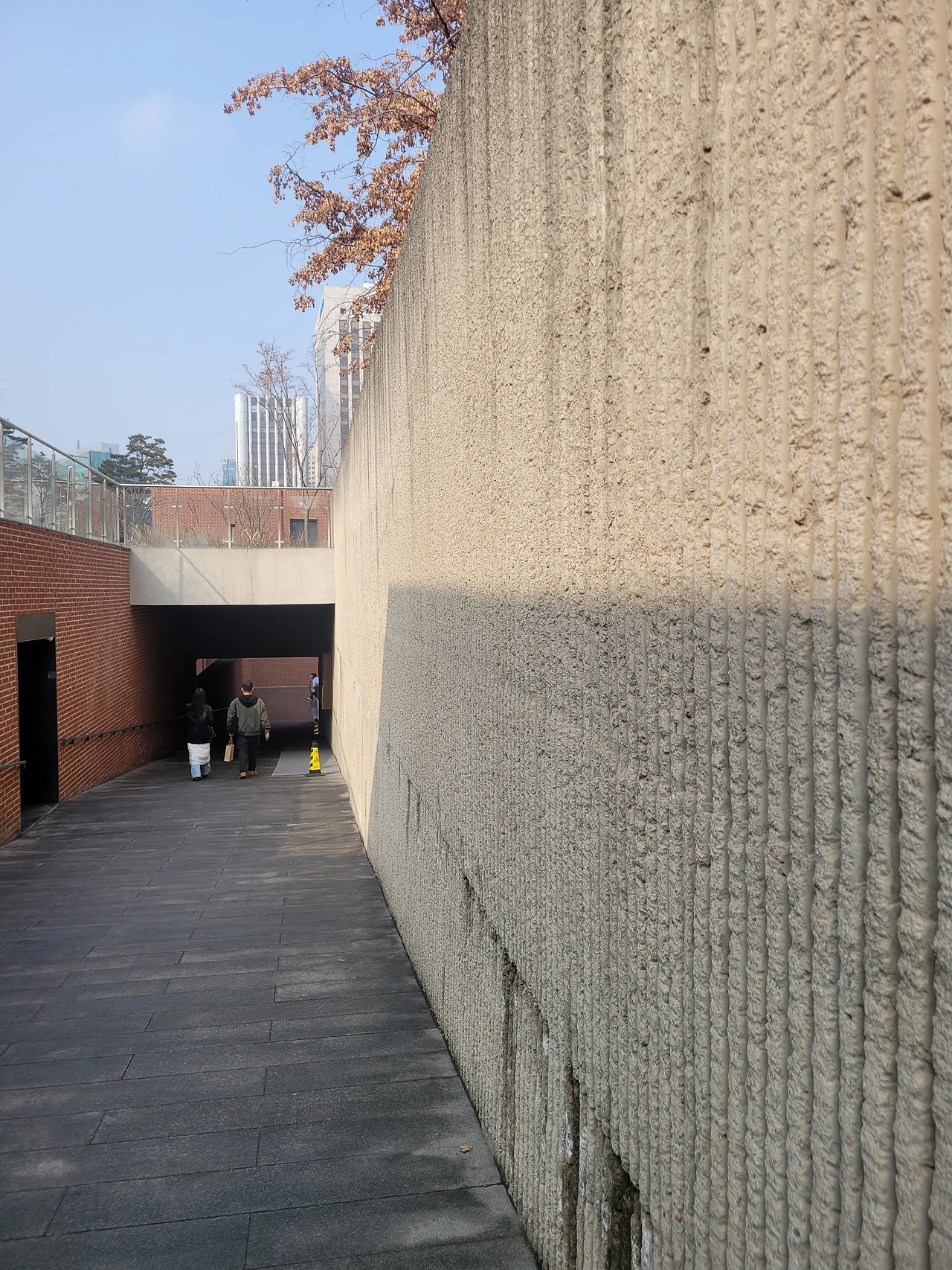 KakaoTalk_Photo_2026-02-22-08-35-24 003.jpeg