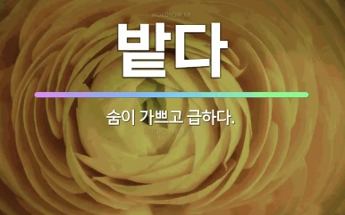 %ED%99%94%EB%A9%B4_%EC%BA%A1%EC%B2%98_2026-01-27_170457.png?type=w386