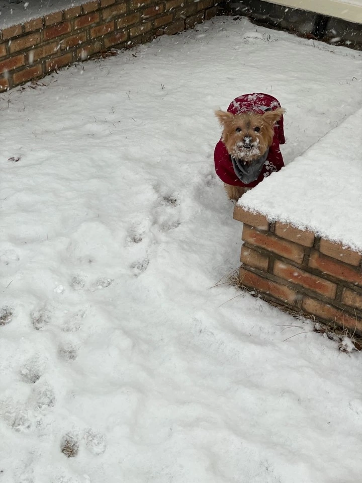 KakaoTalk_Photo_2026-02-24-22-34-04 001.jpeg