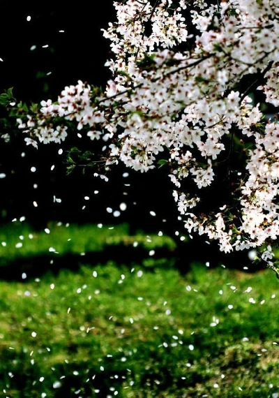 32fb0c7d04f3d6443c2c1555acdba2dbe46ecf77