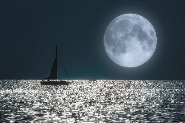 fb59bc3f84b34902636c58f76ef831f694688d5c