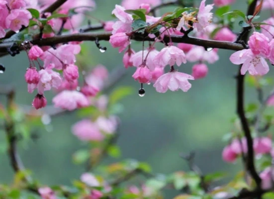 a1558160bf20a940bbe4020ce5b1a9736a9364d3