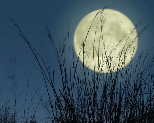 3106a366e3dd01c60829d4ab547b2e0b54091a70