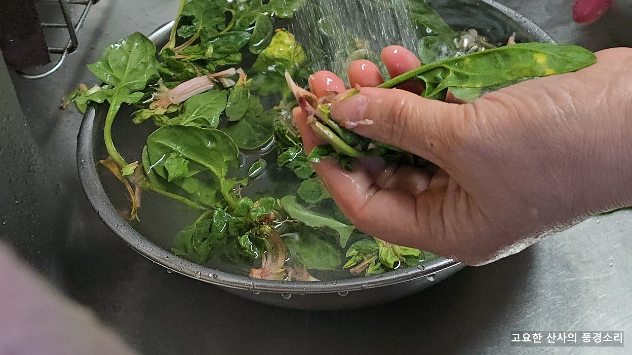 img.png?credential=yqXZFxpELC7KVnFOS48ylbz2pIh7yKj8&expires=1769871599&allow_ip=&allow_referer=&signature=1kLT6TGciqDVgYiixdp%2Fw7BiaxM%3D