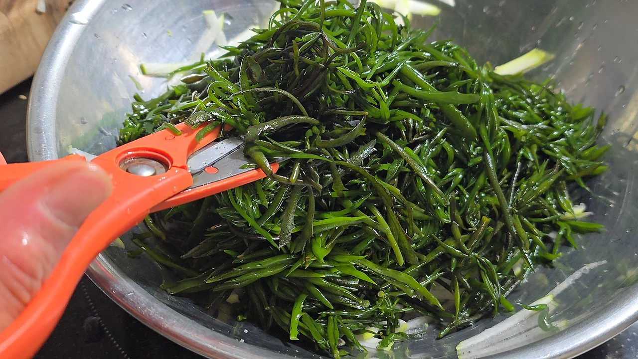 img.jpg?credential=yqXZFxpELC7KVnFOS48ylbz2pIh7yKj8&expires=1769871599&allow_ip=&allow_referer=&signature=Hvc39nNYCttyj8G4HdXUem2olPY%3D