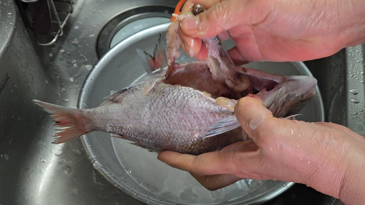 img.jpg?credential=yqXZFxpELC7KVnFOS48ylbz2pIh7yKj8&expires=1777561199&allow_ip=&allow_referer=&signature=H%2BACZEJq7eIoG8n8O1KJji7E6gs%3D