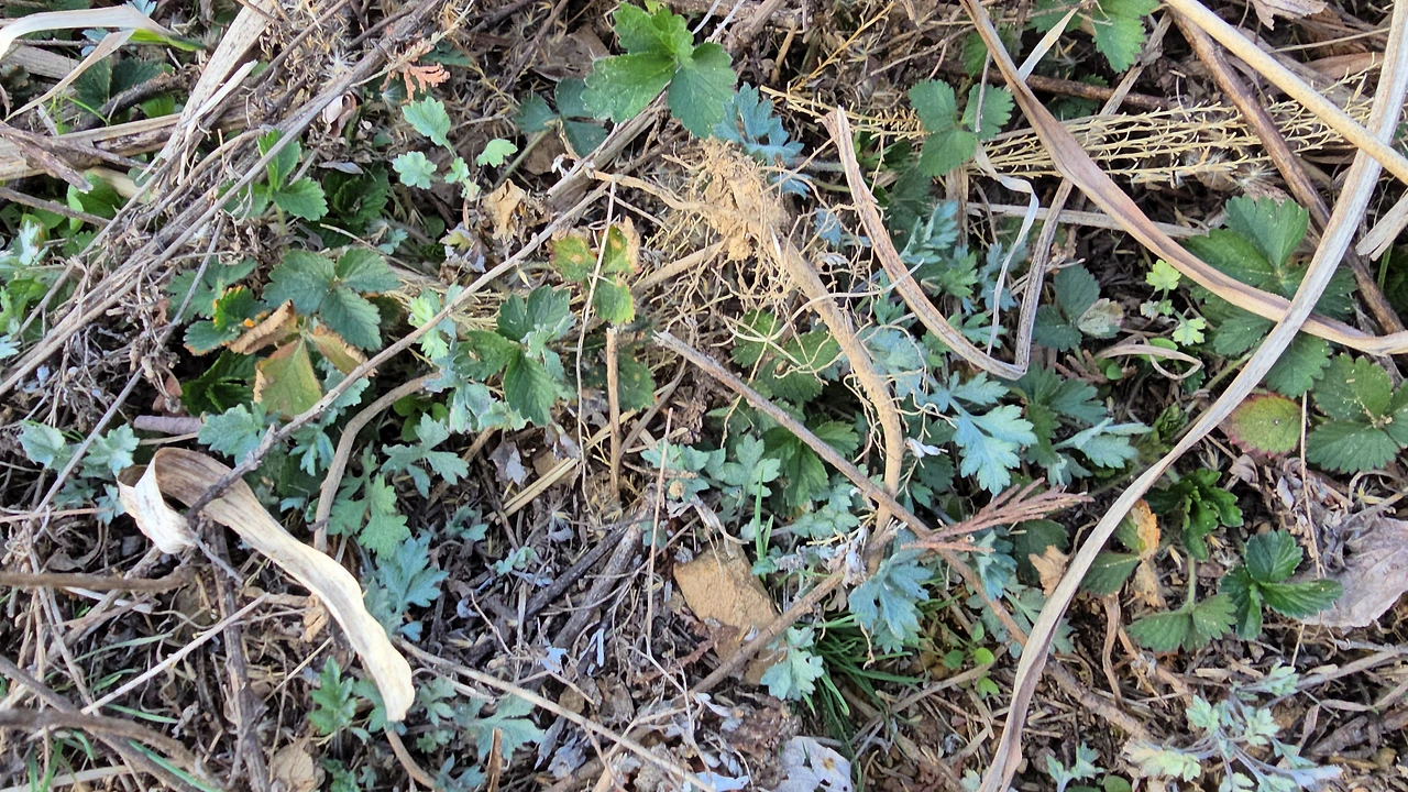 img.jpg?credential=yqXZFxpELC7KVnFOS48ylbz2pIh7yKj8&expires=1774969199&allow_ip=&allow_referer=&signature=0iQNiORJgBZpu8ge%2FJvSnLr%2Fcjs%3D