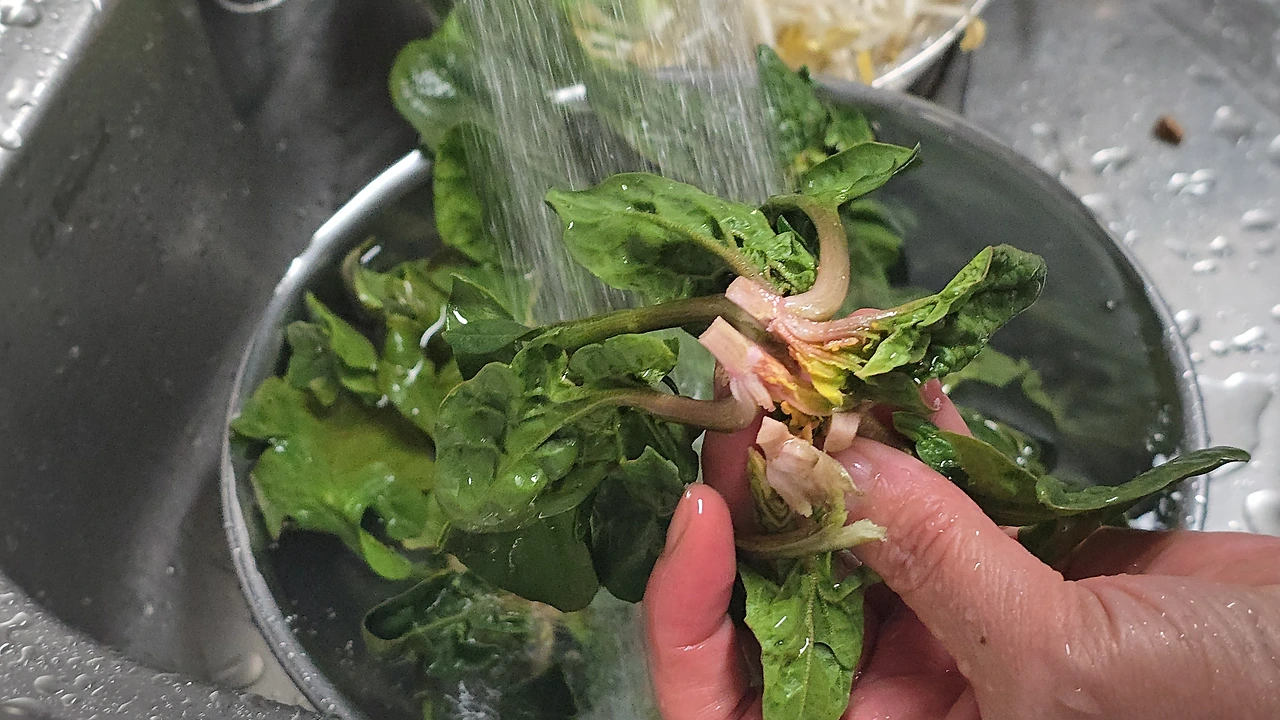 img.jpg?credential=yqXZFxpELC7KVnFOS48ylbz2pIh7yKj8&expires=1772290799&allow_ip=&allow_referer=&signature=pIsDM31PJHTClEsgSNDR4uEFus0%3D