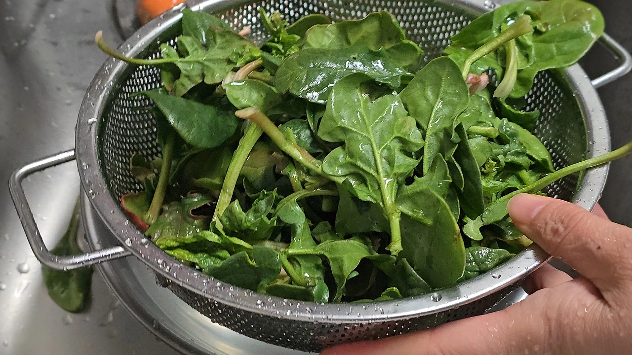 img.jpg?credential=yqXZFxpELC7KVnFOS48ylbz2pIh7yKj8&expires=1772290799&allow_ip=&allow_referer=&signature=qETE3pz0d0ca3RtNhvHNYFHneAg%3D