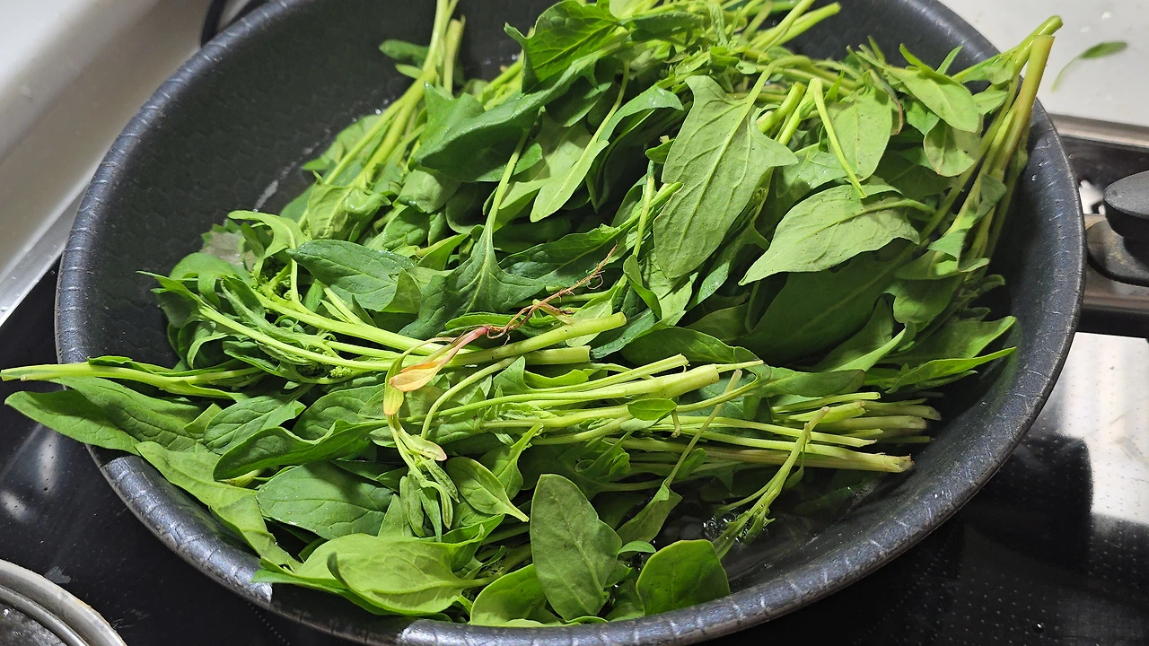 img.jpg?credential=yqXZFxpELC7KVnFOS48ylbz2pIh7yKj8&expires=1777561199&allow_ip=&allow_referer=&signature=6Ns2A7%2BFCk%2BXjW4PIMjC94UpRww%3D