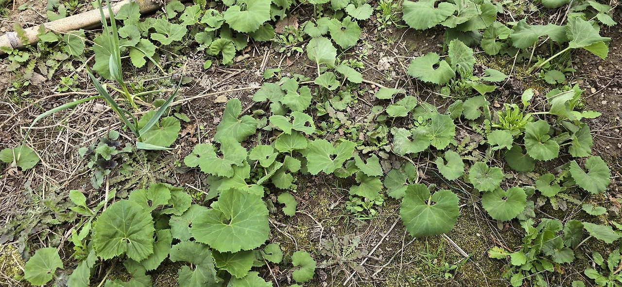 img.jpg?credential=yqXZFxpELC7KVnFOS48ylbz2pIh7yKj8&expires=1777561199&allow_ip=&allow_referer=&signature=1yPxpJsxJFFU9VghWCfdrnyYUhk%3D