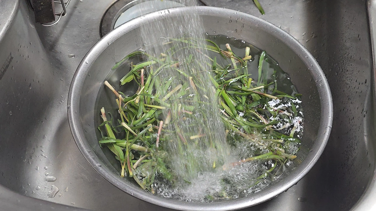 img.jpg?credential=yqXZFxpELC7KVnFOS48ylbz2pIh7yKj8&expires=1774969199&allow_ip=&allow_referer=&signature=wQtHcKCgAVNVw0yuC53F88TKxnY%3D