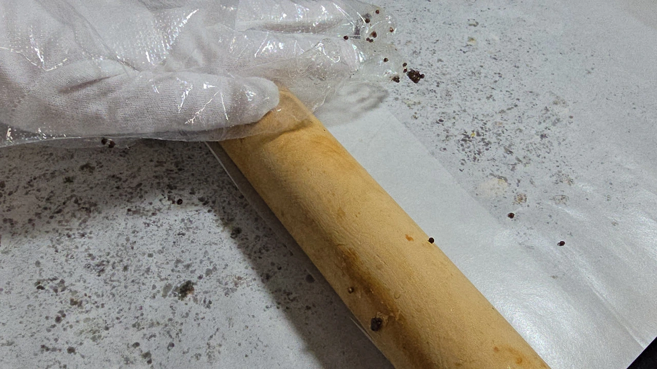 img.jpg?credential=yqXZFxpELC7KVnFOS48ylbz2pIh7yKj8&expires=1774969199&allow_ip=&allow_referer=&signature=SNzLYiyjuNTv7nUJqSAC5hcnbZE%3D