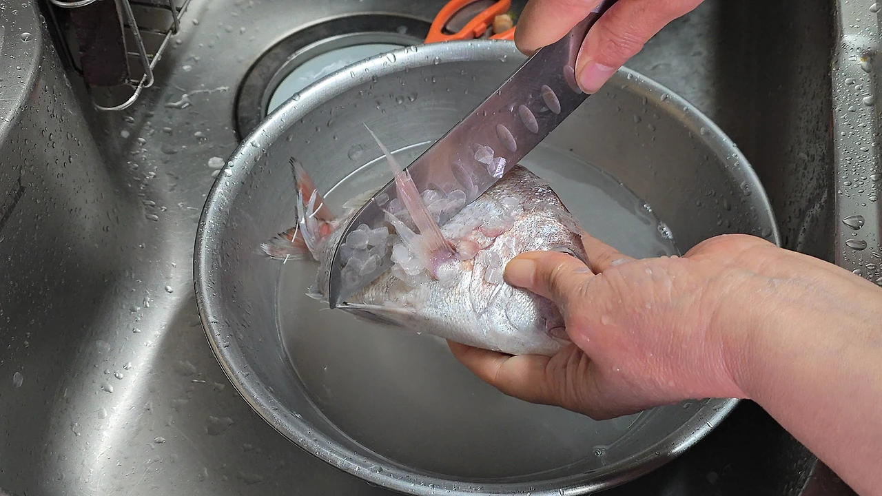 img.jpg?credential=yqXZFxpELC7KVnFOS48ylbz2pIh7yKj8&expires=1777561199&allow_ip=&allow_referer=&signature=Ys6EmCGsqE782lkOWI1g27yXelY%3D