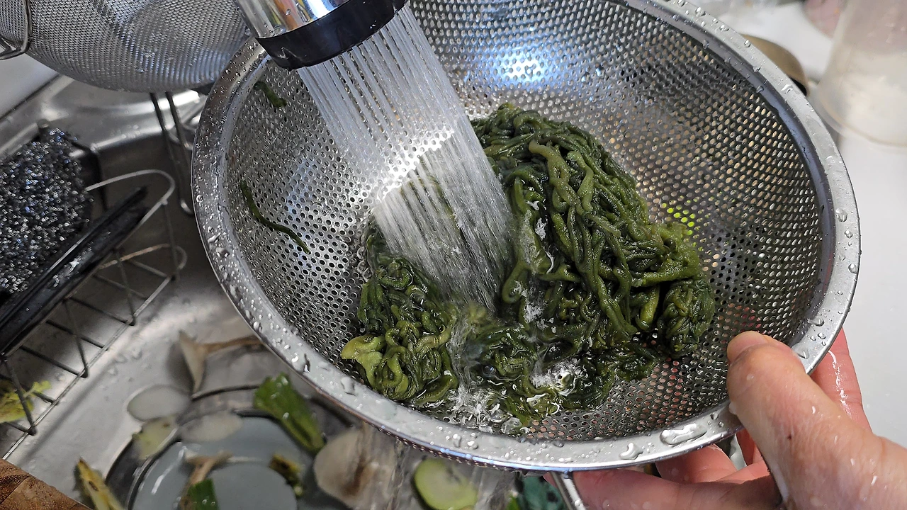 img.jpg?credential=yqXZFxpELC7KVnFOS48ylbz2pIh7yKj8&expires=1772290799&allow_ip=&allow_referer=&signature=ZOvJtB5wfwdSad%2F8B4srbfpXBuo%3D