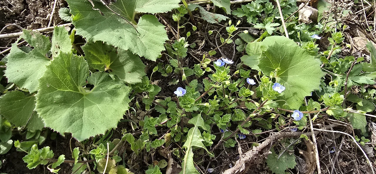 img.jpg?credential=yqXZFxpELC7KVnFOS48ylbz2pIh7yKj8&expires=1777561199&allow_ip=&allow_referer=&signature=CNYO%2FJMvqEJV2h02liIN1XOMm%2B4%3D