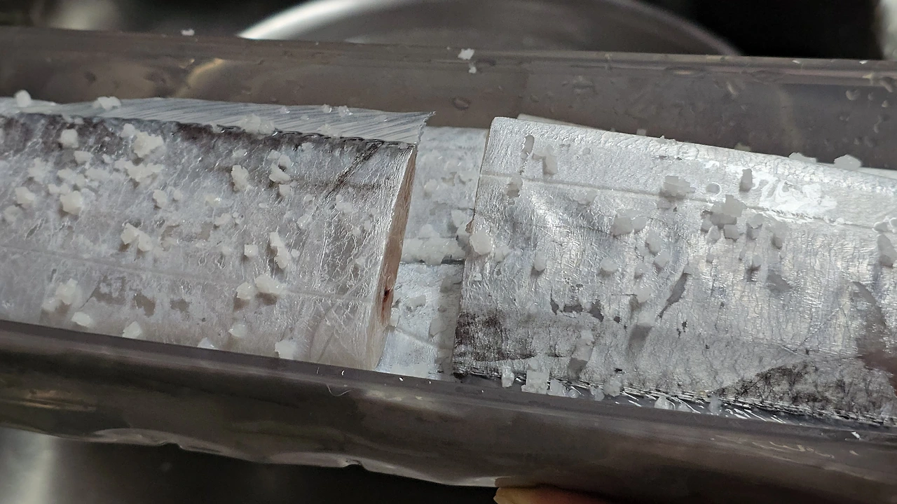 img.jpg?credential=yqXZFxpELC7KVnFOS48ylbz2pIh7yKj8&expires=1774969199&allow_ip=&allow_referer=&signature=ny2Vz%2BNqU5fEsT6QDFHGmREZbIs%3D